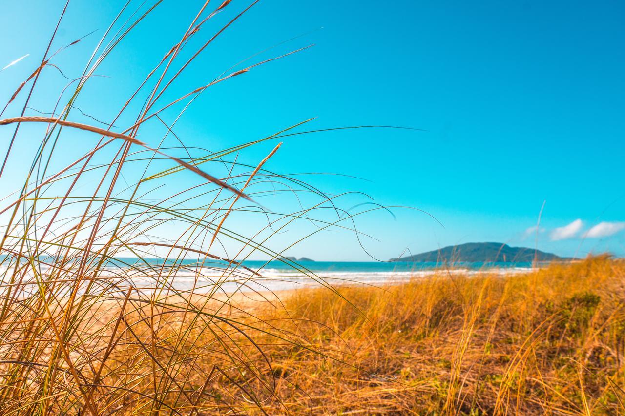 Apto Na Praia Do Ingleses Florianópolis Kültér fotó